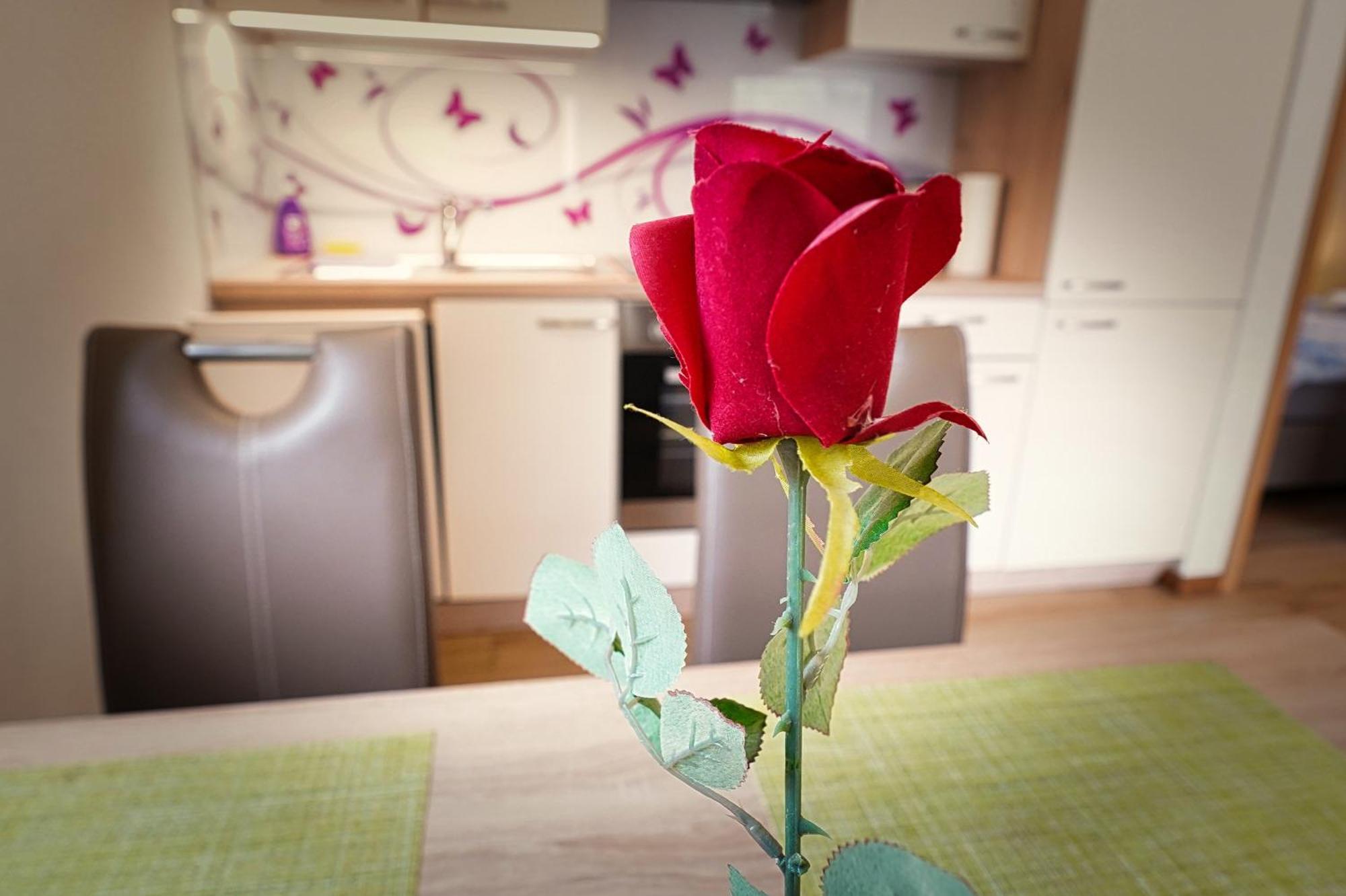 Apartment Mari ボーヒニ エクステリア 写真